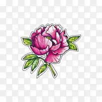 花卉设计：蜈蚣玫瑰切花牡丹花瓣粉红色牡丹