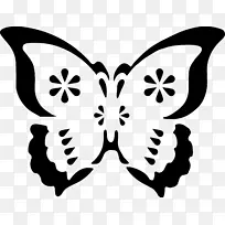 蝴蝶桌面壁纸花卉设计-蝴蝶