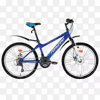罗利自行车公司山地车混合动力自行车电动自行车-推力前进！