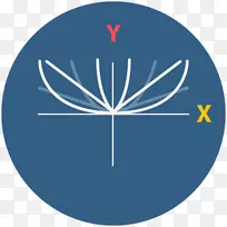 右手法则强迫阿拉赫磁场
