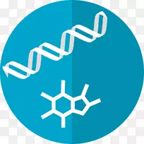 代谢组学代谢物-减肥过程