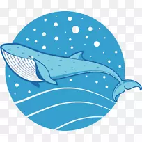 海豚画鲸鱼剪贴画-自然海洋动物鲸鱼