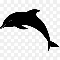 宽吻海豚绘画剪贴画-海豚