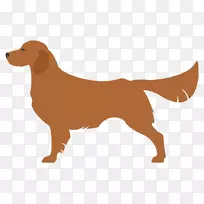 贝德灵顿猎犬玩具狐狸猎犬纽芬兰犬凯瑞蓝猎犬
