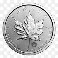 加拿大银枫叶银币金币加拿大金币枫叶金币