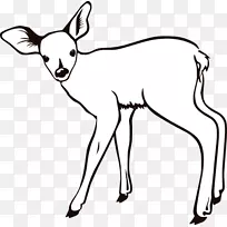 驯鹿，白尾鹿，着色书，剪贴画，鹿