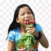 萝卜叶菜食-蔬菜