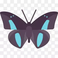 蝴蝶蛾电脑图标-蝴蝶