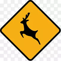 交通标志回旋处警告标志澳洲道-澳洲
