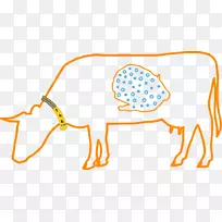 奶牛瘤胃动物微生物