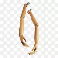 手臂人体模型关节手
