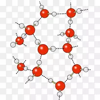 氢键水部分电荷化学键氢键