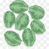 布鲁塞尔芽叶蔬菜泡菜和卷心菜发芽-植被