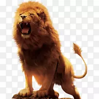 阿斯兰狮桌面壁纸下载-狮子
