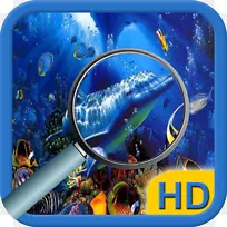 珊瑚礁鱼玻璃生态系统海洋生物-海底
