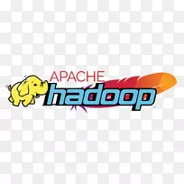 ApacheHadoop大数据MapReduction计算机软件ApacheSpark-300