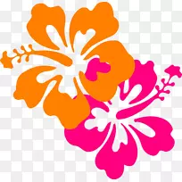 夏威夷芙蓉花剪贴画-花