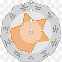 数据治理信息数据管理能力成熟度模型集成