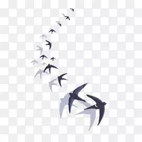 谷仓燕子画鸟