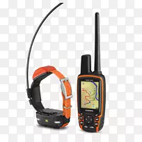 GPS导航系统狗Garmin动力吸盘安装与扬声器Garmin有限公司。跟踪系统-狗