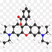 罗丹明b化学合成肽-POTS三维模型
