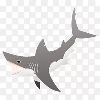 大白鲨六鳃鲨斑点棘鱼-大白鲨