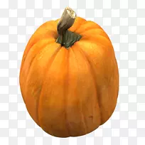 大南瓜葫芦冬瓜南瓜