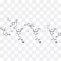 磷酰胺基寡核苷酸合成磷酸二酯键固相合成-其它