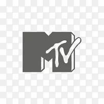 Viacom媒体网络mtv电视标识