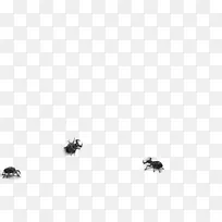 昆虫桌面壁纸传粉机电脑字体昆虫
