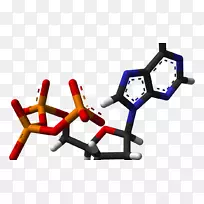 腺苷三磷酸烟酰胺腺嘌呤二核苷酸能量