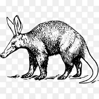 Aardvark食蚁兽剪贴画动物