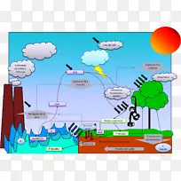 生物地球化学循环生物地球化学化学元素生态系统水资源-橙