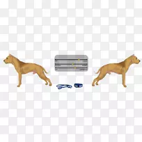 犬种鼻子野生犬