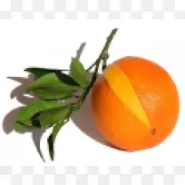 克莱门汀苦橙橘子橙子