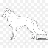 犬种红狐线艺术白狗