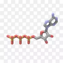 三磷酸腺苷四醇