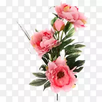 花园玫瑰花卉设计博客牡丹-花