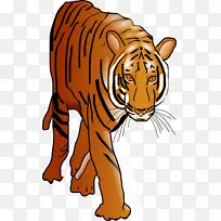 狮子孟加拉虎剪贴画-狮子