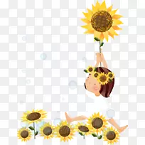 普通葵花籽画向日葵油.斑点