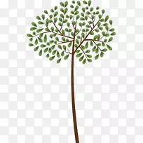 代顿蛀牙高级牙科