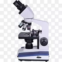 光学显微镜剪辑艺术显微镜