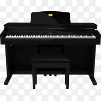 数字钢琴，电动钢琴，电子琴，钢琴，琵琶，钢琴