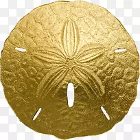 海胆砂币金币