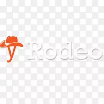 Python集成开发环境计算机软件保留单词rodeo