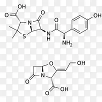 氨苄西林阿莫西林/克拉维酸乙状结肠-奥尔德里希-消除血液细菌