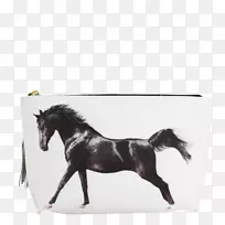 阿拉伯马阿克哈勒-特克种马驰骋黑马头印刷