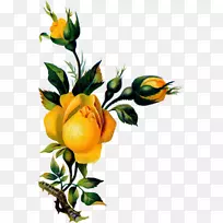 艺术剪裁花卉设计-复古阳光和黄色条纹