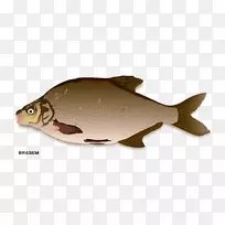 北红笛鲷鱼产品鲤鱼