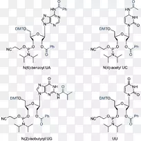 RNA核酸结构dna单体